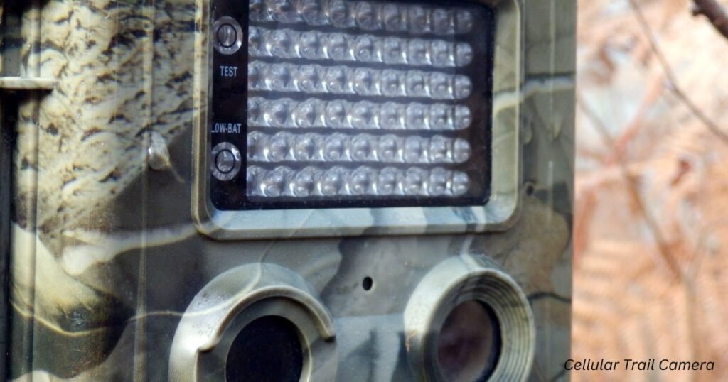 Best Cellular Trail Camera 