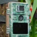 Best Cellular Trail Camera