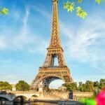 Best Places to Find Cannabis 2024