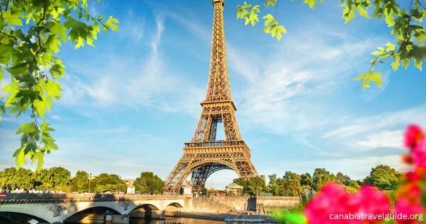 Best Places to Find Cannabis 2024