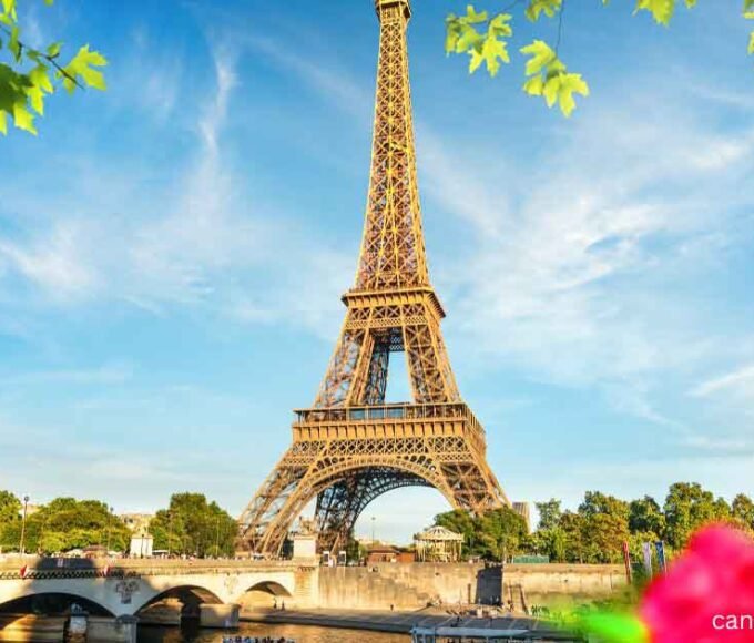 Best Places to Find Cannabis 2024