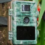 Game Camera