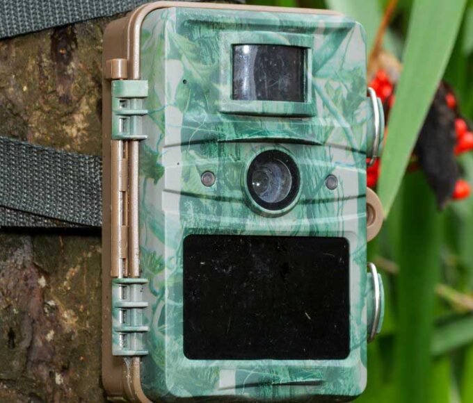 Game Camera
