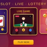 Bkash casino bd